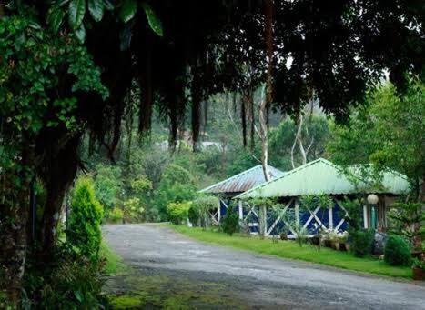 Meenu'S Home Stay Anachal المظهر الخارجي الصورة